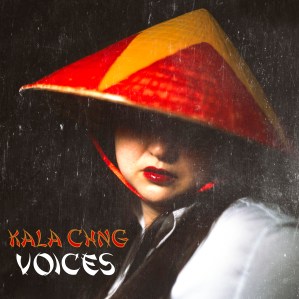 Voices Artwork tunecore